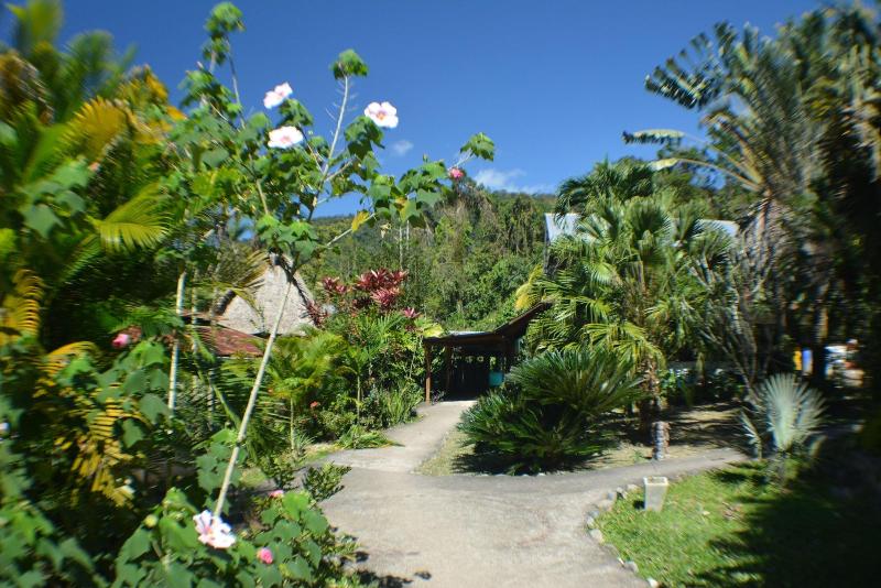 Omega Tours Adventure Company Eco Jungle Lodge image