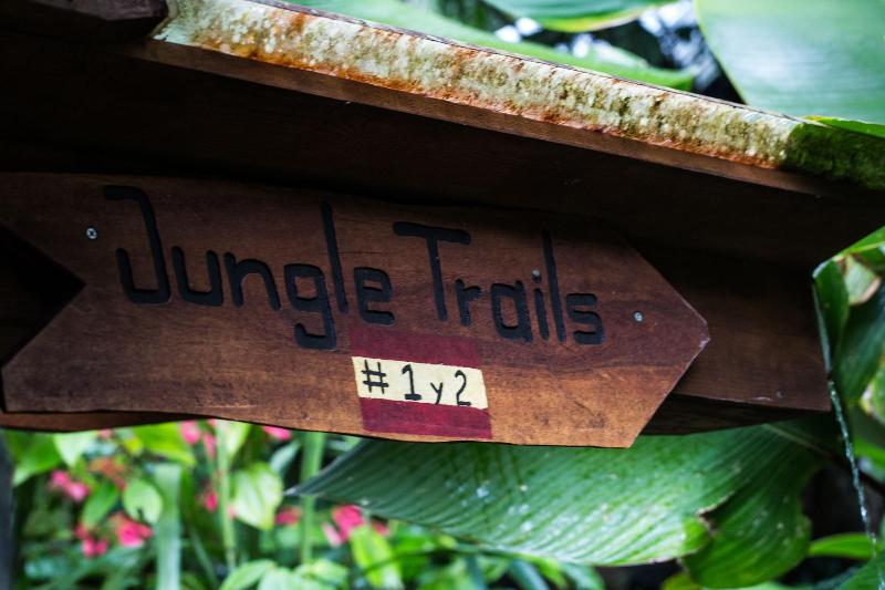 Omega Tours Adventure Company Eco Jungle Lodge image