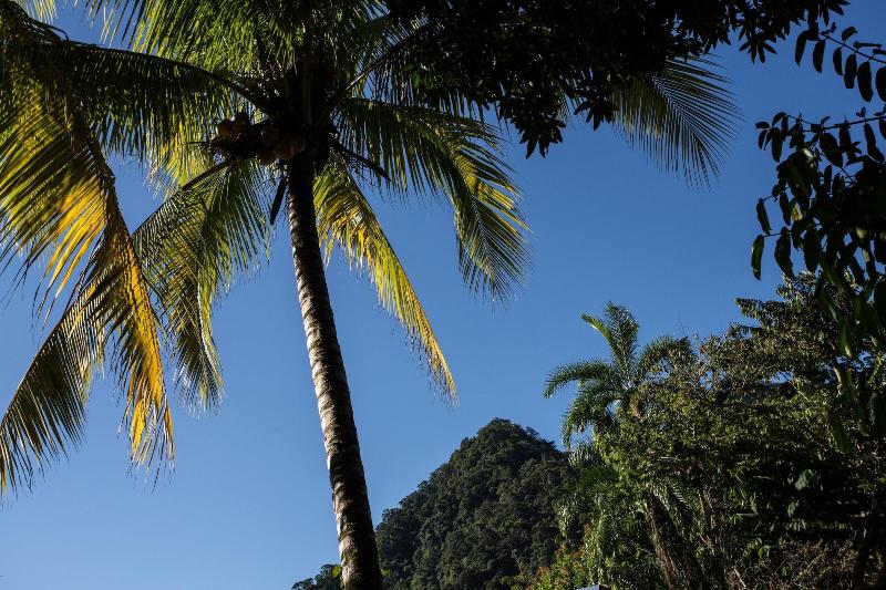 Omega Tours Adventure Company Eco Jungle Lodge image