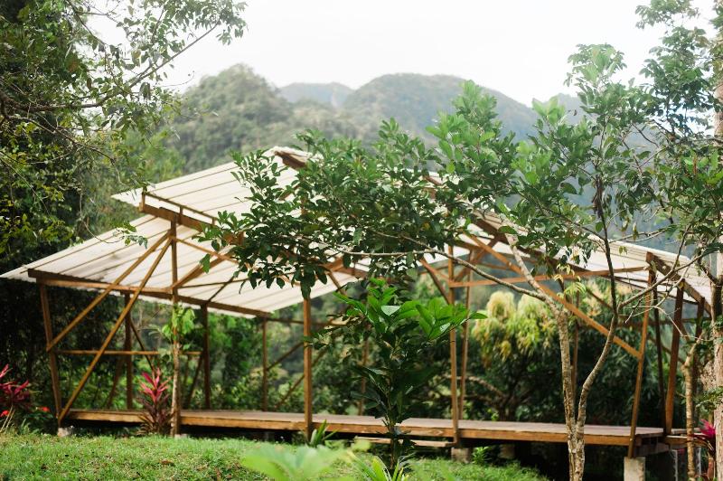 Omega Tours Adventure Company Eco Jungle Lodge image