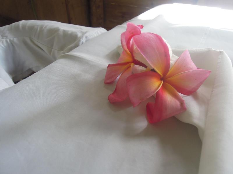 Omega Tours Adventure Company Eco Jungle Lodge image