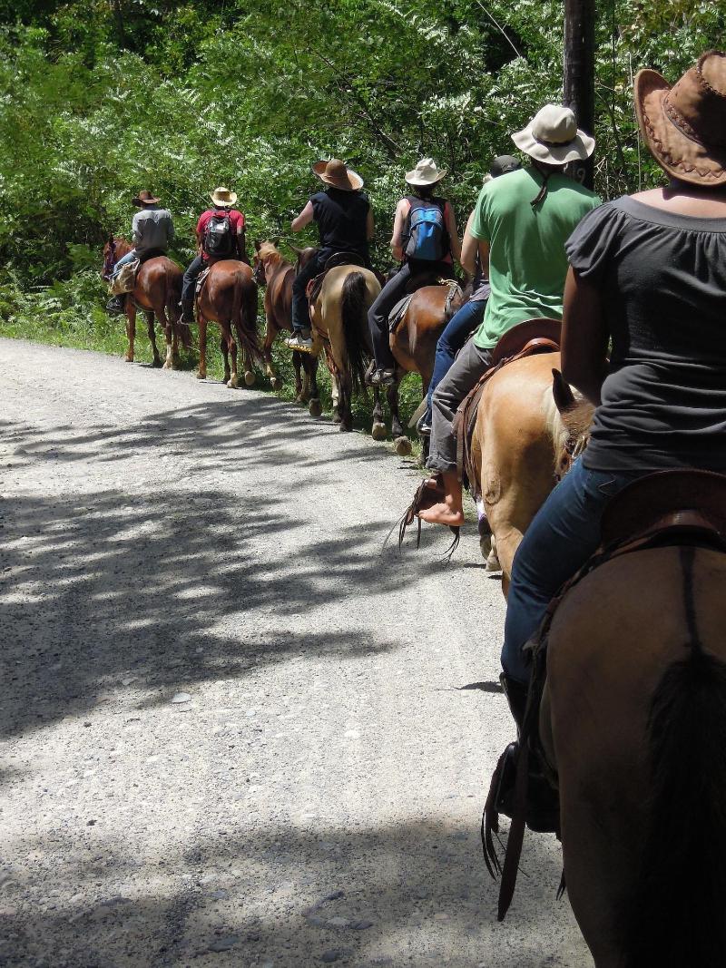 Omega Tours Adventure Company Eco Jungle Lodge image