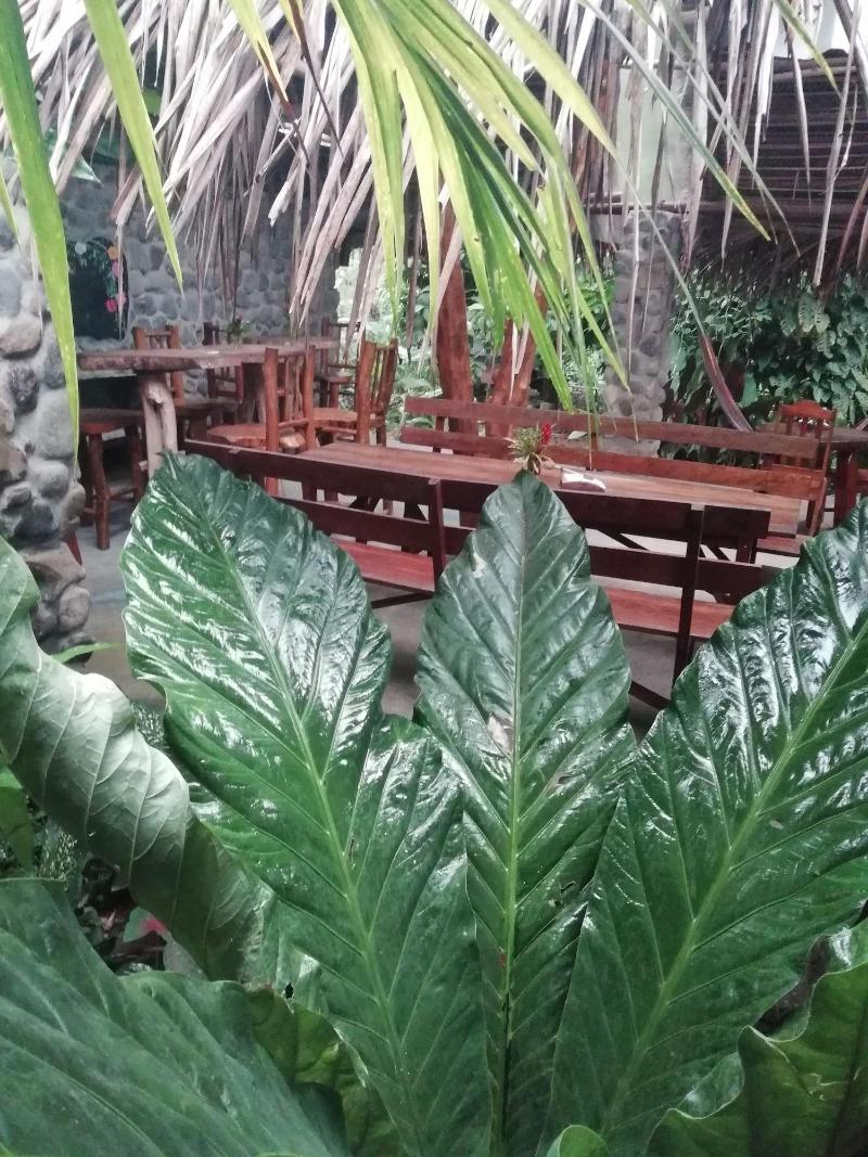Omega Tours Adventure Company Eco Jungle Lodge image