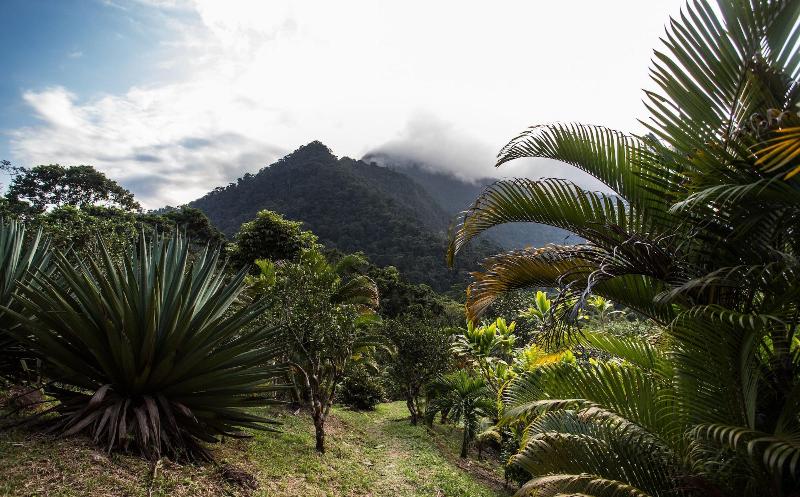 Omega Tours Adventure Company Eco Jungle Lodge image