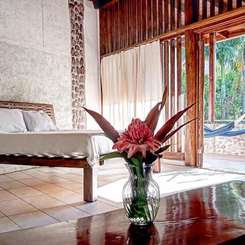 Omega Tours Adventure Company Eco Jungle Lodge image