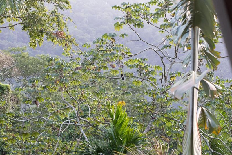 Omega Tours Adventure Company Eco Jungle Lodge image