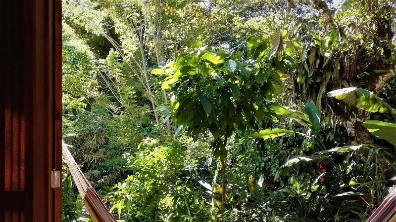 Omega Tours Adventure Company Eco Jungle Lodge image