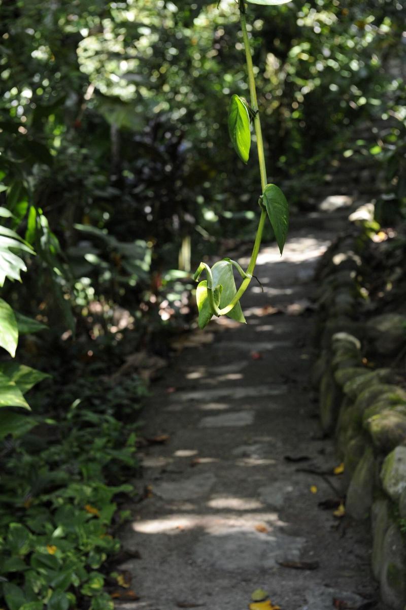 Omega Tours Adventure Company Eco Jungle Lodge image