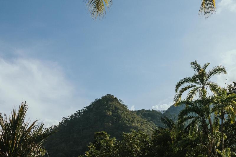 Omega Tours Adventure Company Eco Jungle Lodge image