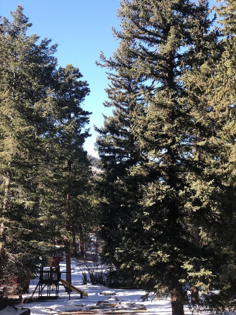 Ponderosa Lodge image