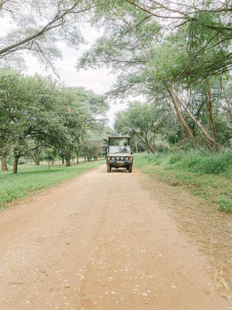 Lilayi Lodge image
