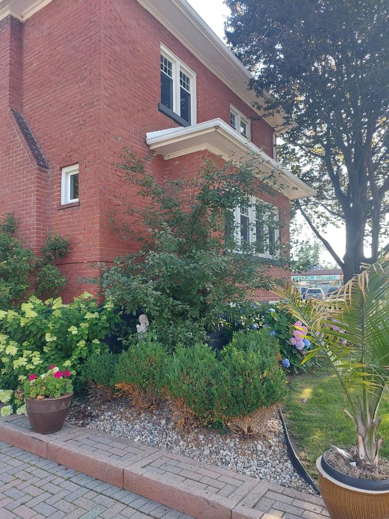 Nicklin House image