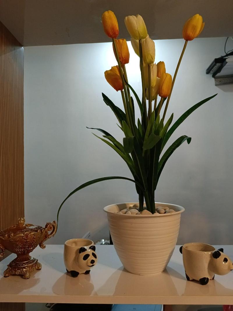 D Ariska Rooms Homestay image