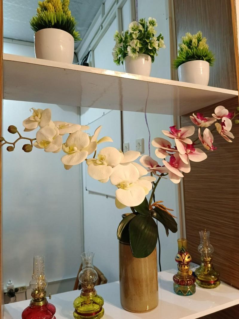 D Ariska Rooms Homestay image