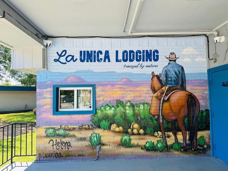 La Unica image