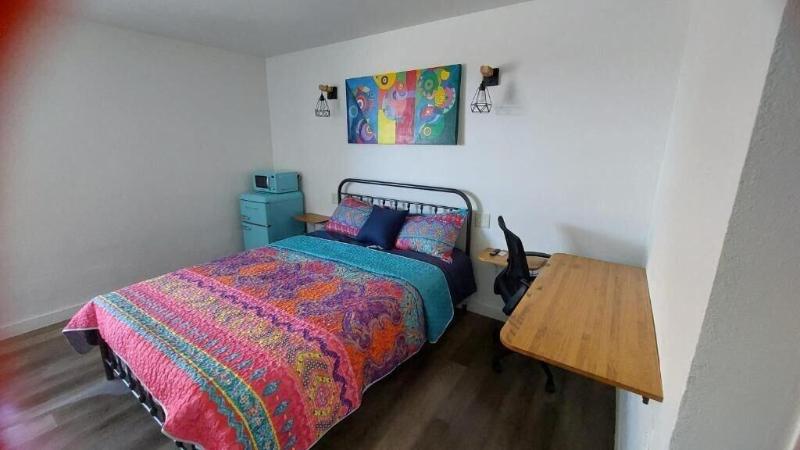 La Unica image