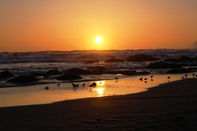 Beachfront Manor Hotel image