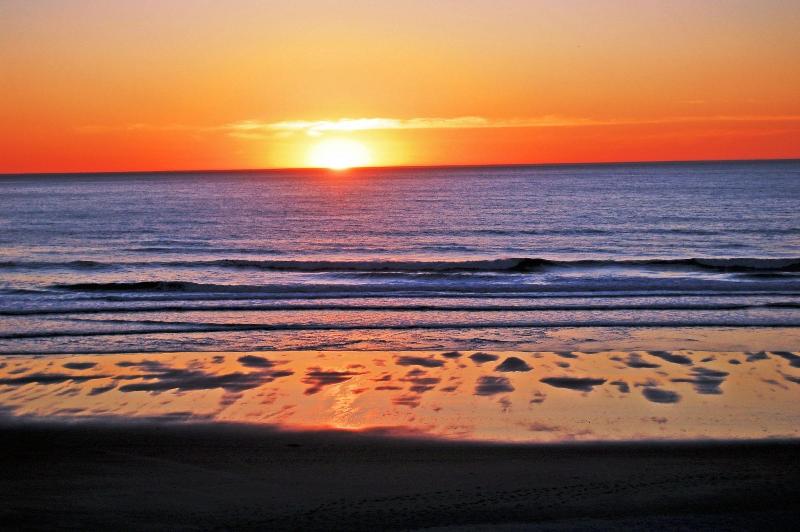 Starfish Manor Oceanfront Hotel image