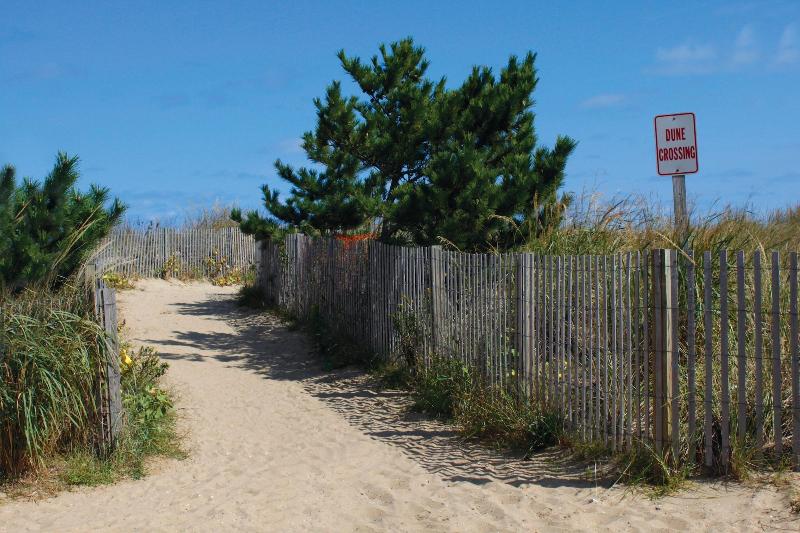 Seabonay Oceanfront Motel image