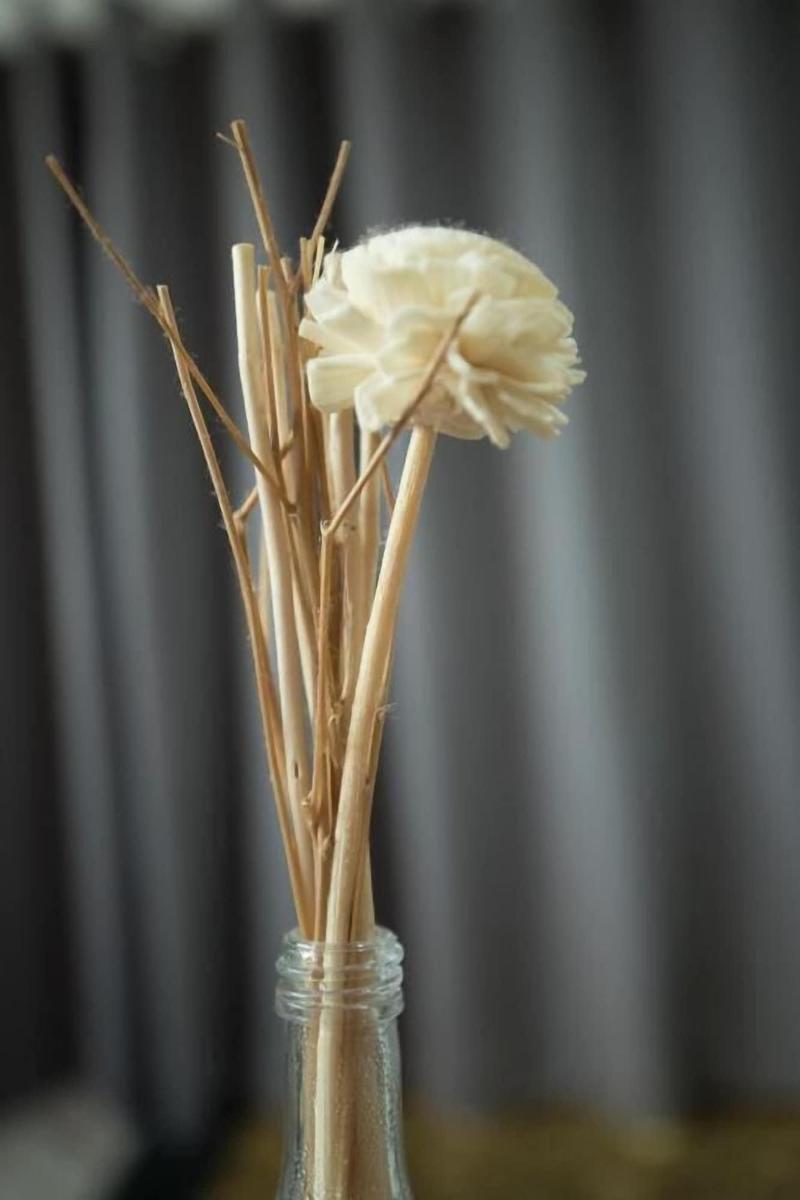C Samui Guesthouse image