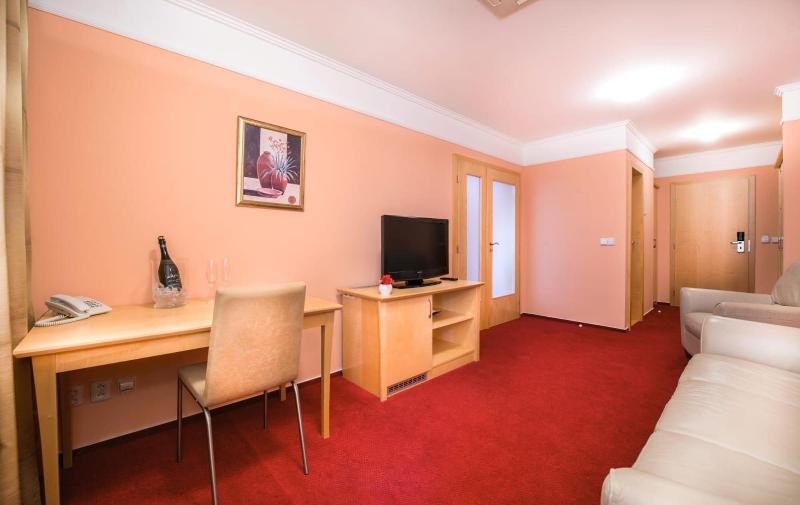 Hotel Akademie image