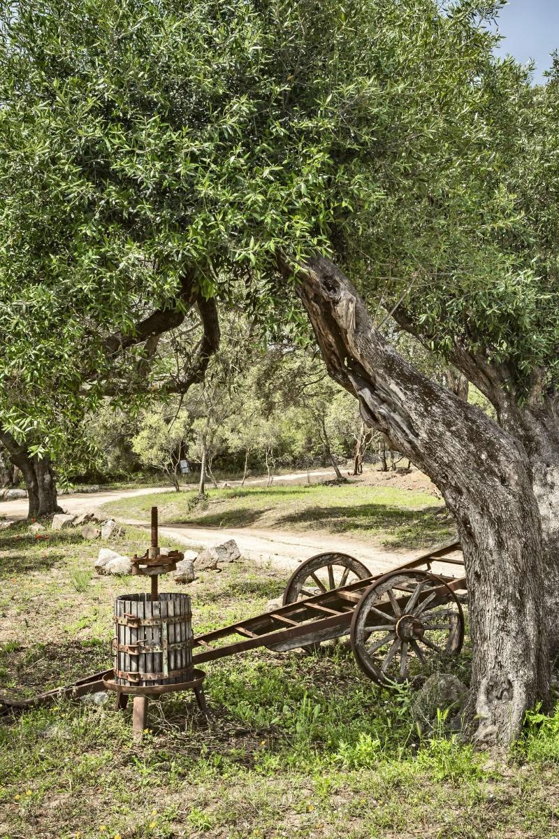 Uddastri Retreat image