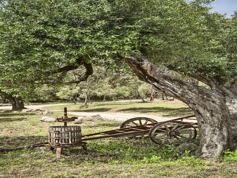 Uddastri Retreat image
