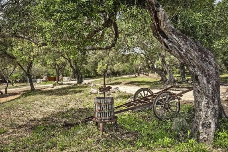 Uddastri Retreat image