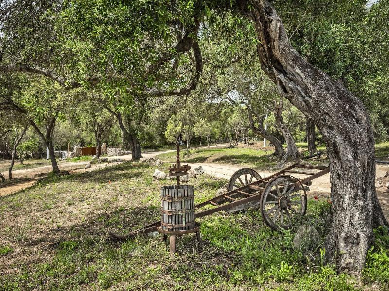 Uddastri Retreat image