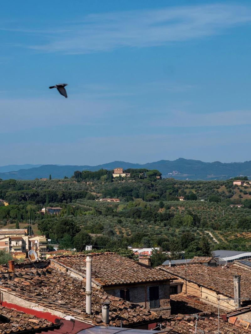 Torre Del Fuggisole image