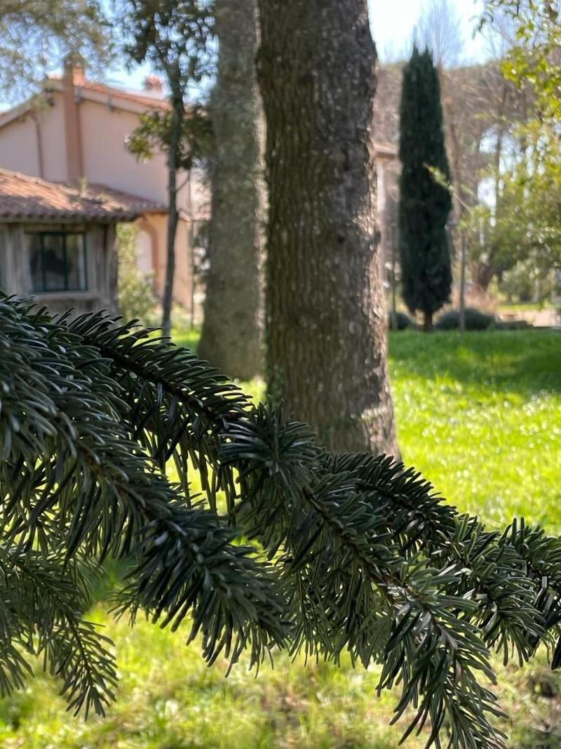 Poggio Delle Molare image