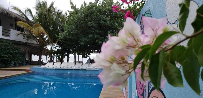 Hotel Playa Zipolite — view