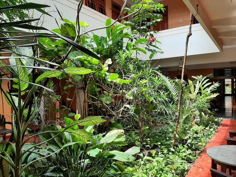 Hotel Dana Jogja image