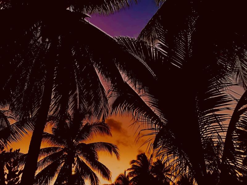 Dream Cabanas image