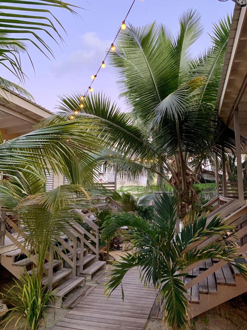 Dream Cabanas image