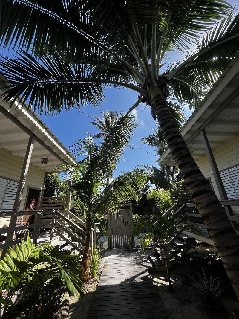 Dream Cabanas image