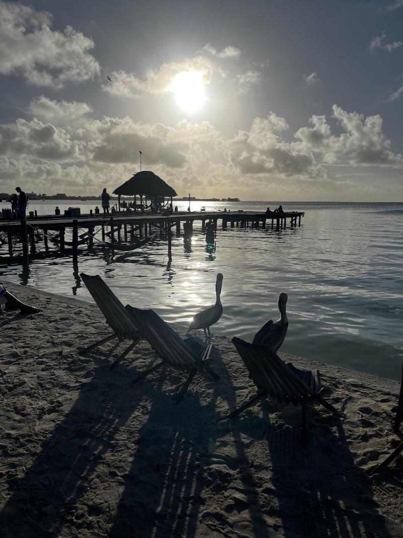 Dream Cabanas image