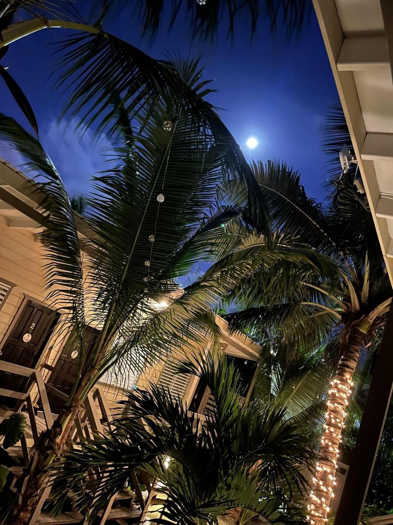 Dream Cabanas image