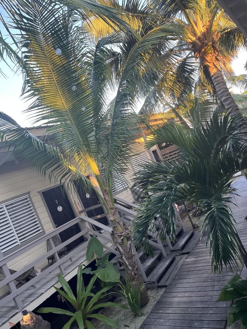 Dream Cabanas image