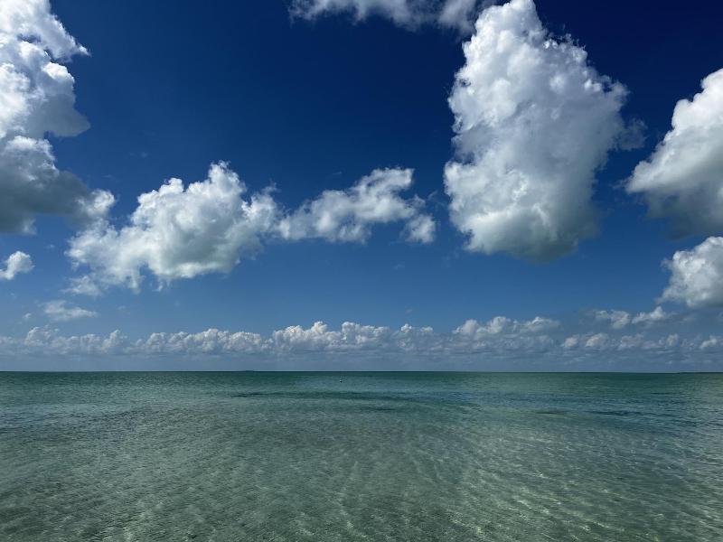 Dream Cabanas image