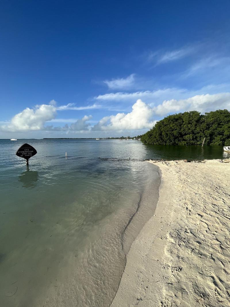 Dream Cabanas image