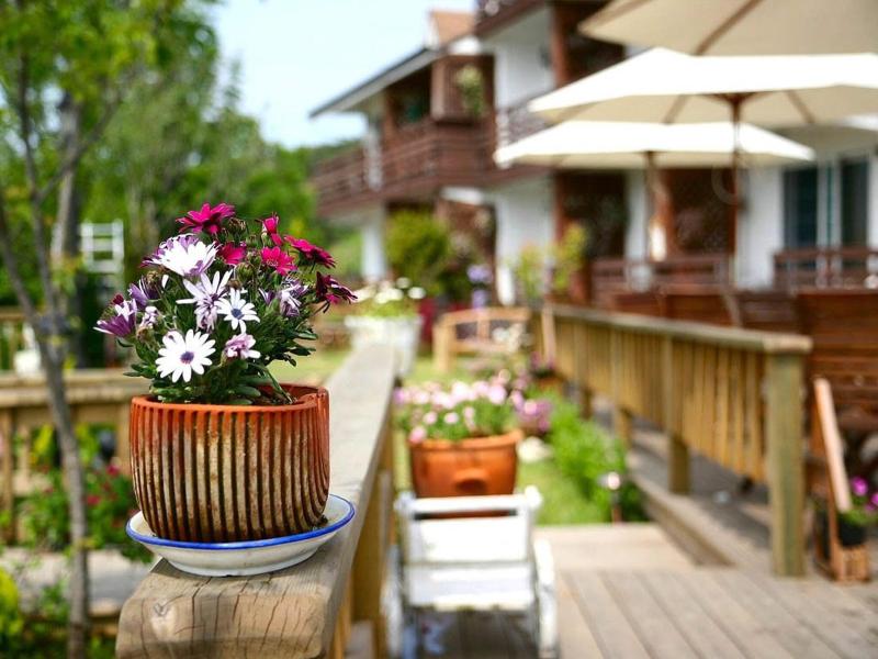 Spa Pension Basso