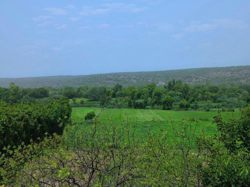 Courtyard By Marriott Aravali Resort image