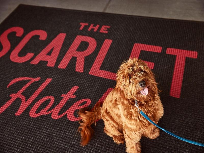 The Scarlet Lincoln A Tribute Portfolio Hotel
