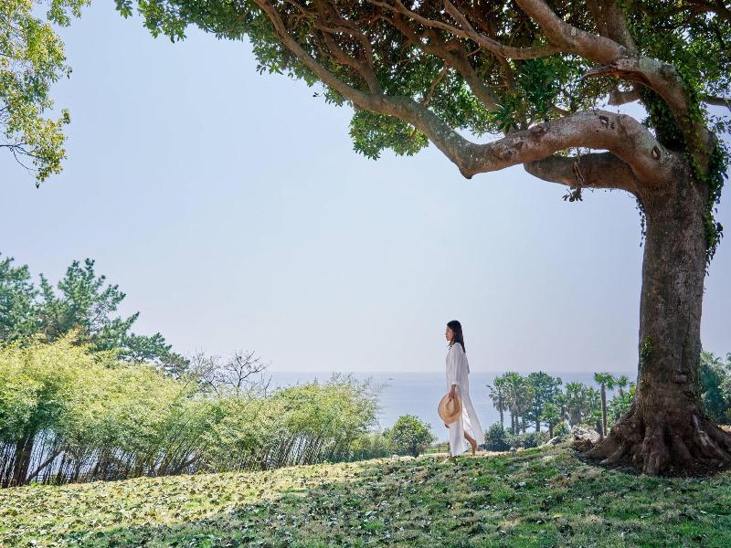 Jw Marriott Jeju Resort Spa image