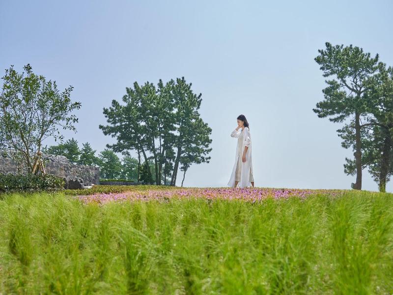 Jw Marriott Jeju Resort Spa image