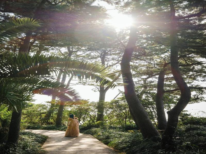 Jw Marriott Jeju Resort Spa image