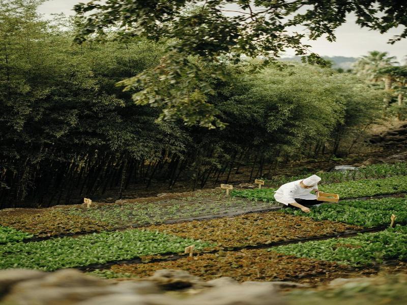 Jw Marriott Jeju Resort Spa image