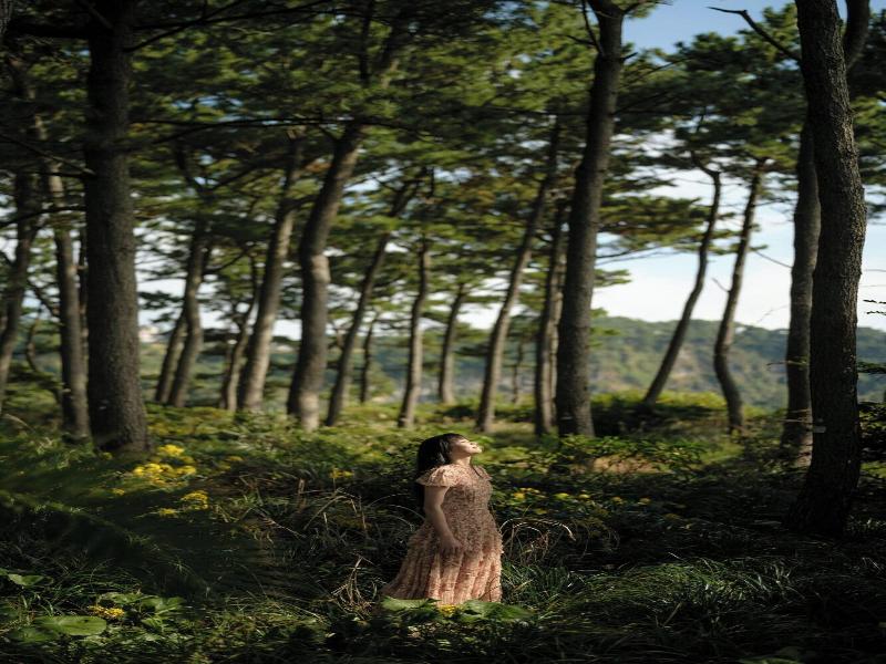 Jw Marriott Jeju Resort Spa image