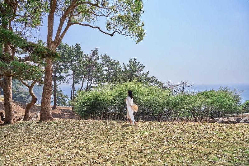 Jw Marriott Jeju Resort Spa image